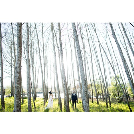 Diana Nobre Photography