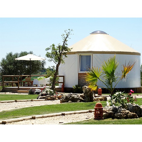 Quinta M