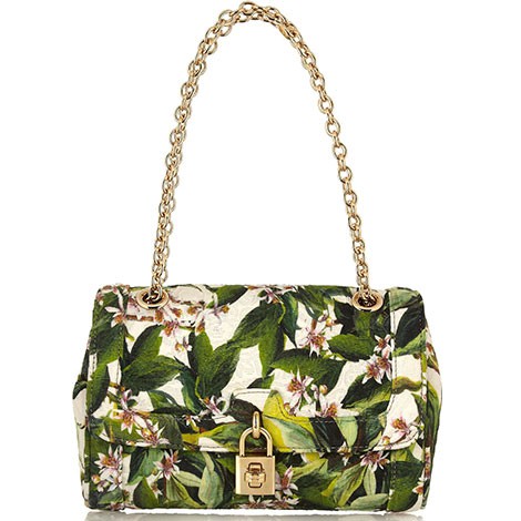 Dolce & Gabbana