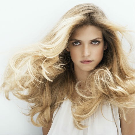 Balayage 2 Ors, Franck Provost