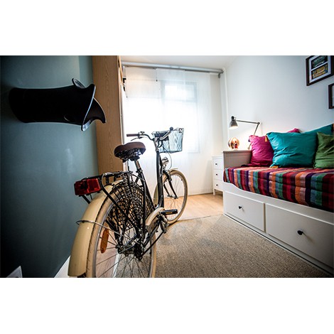 Homify