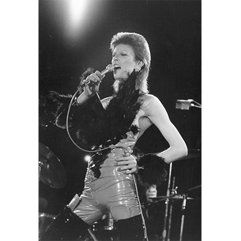 David Bowie