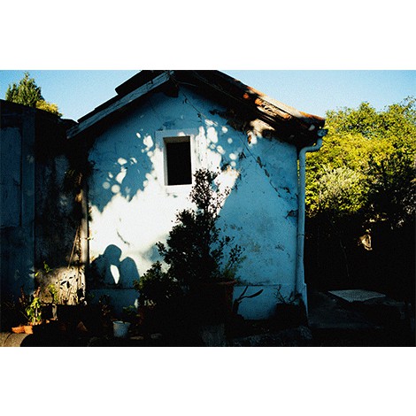 Diana Nobre Photography