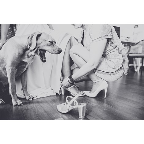 Diana Nobre Photography