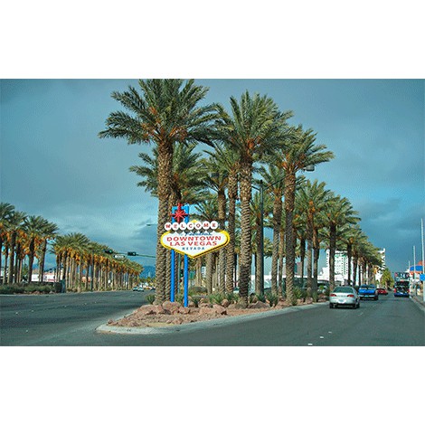 Las Vegas, EUA