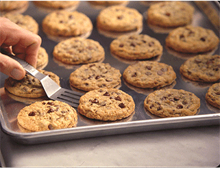 Cookies com chocolate invadem Lisboa Cookies com chocolate invadem Lisboa