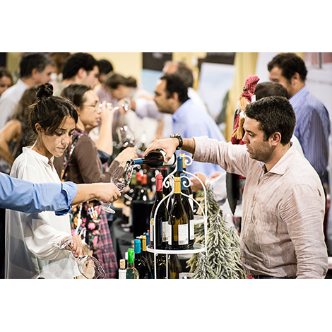 Mercado de Vinhos Mercado de Vinhos
