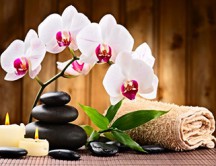 5 Rituais de beleza para aliviar o stress